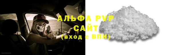 амф Алексин