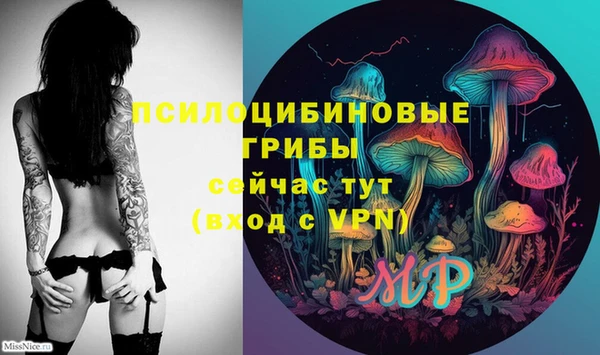 спиды Сатка