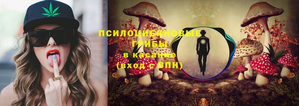 амф Алексин